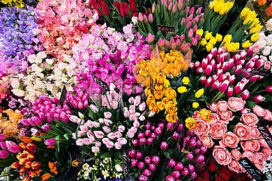 全新粉丝马里奥项目《超级马里奥和彩虹星》亮相