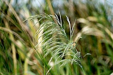 80对战平台迎新火热进行中 疯狂福利！注册即送千元豪礼