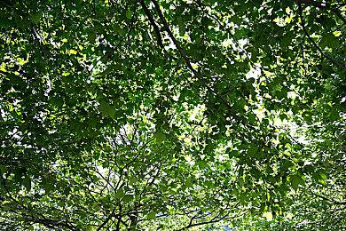 海湾战争战损GB掌机已被任天堂收回 不再对外展出